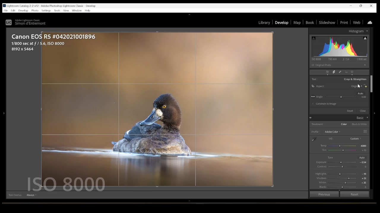 [08:32] Adobe Lightroom user interface showing a crop overlay on a photo of a duck, illustrating the advice to avoid heavy cropping on high ISO images.