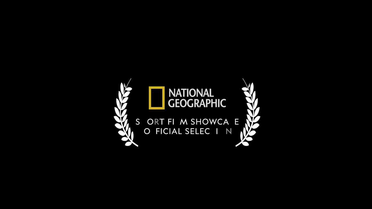 Official selection award text screen